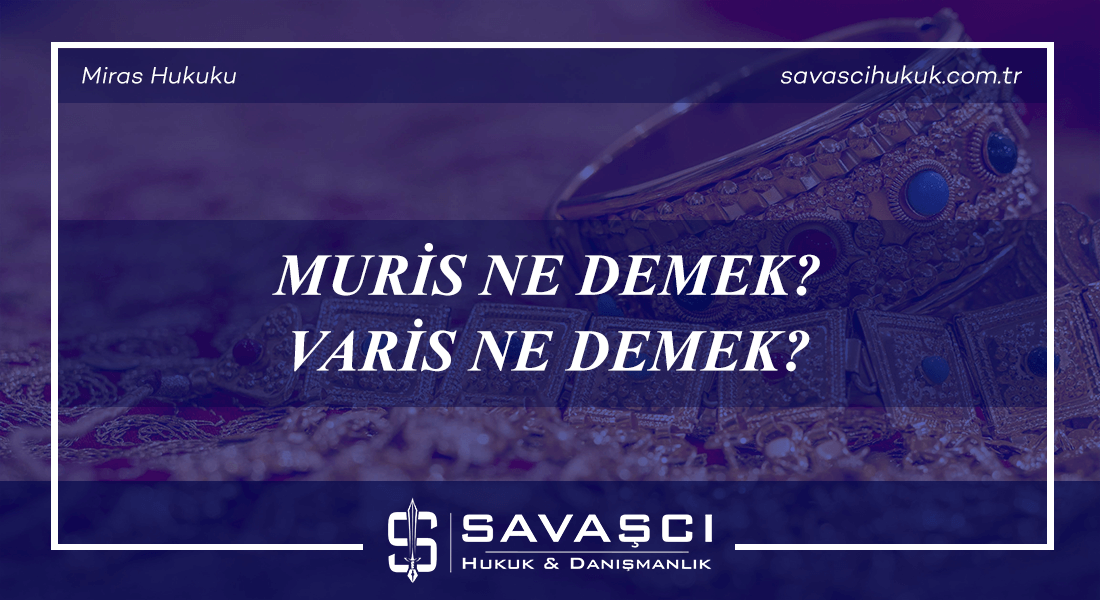 Muris Ne Demek - Varis Ne Demek